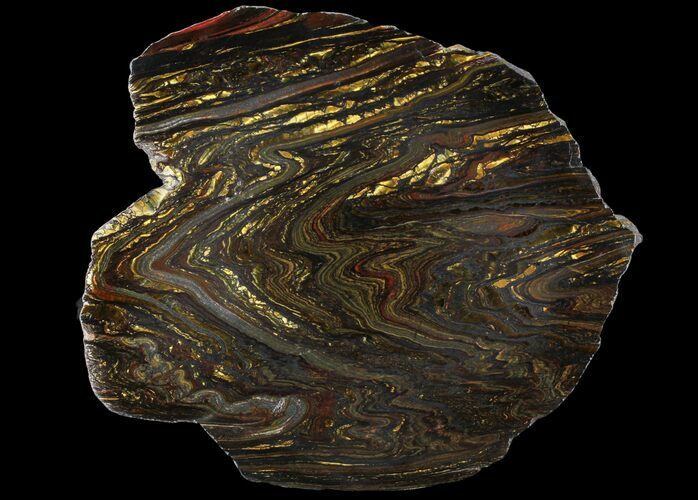 Polished Tiger Iron Stromatolite - ( Billion Years) #96232